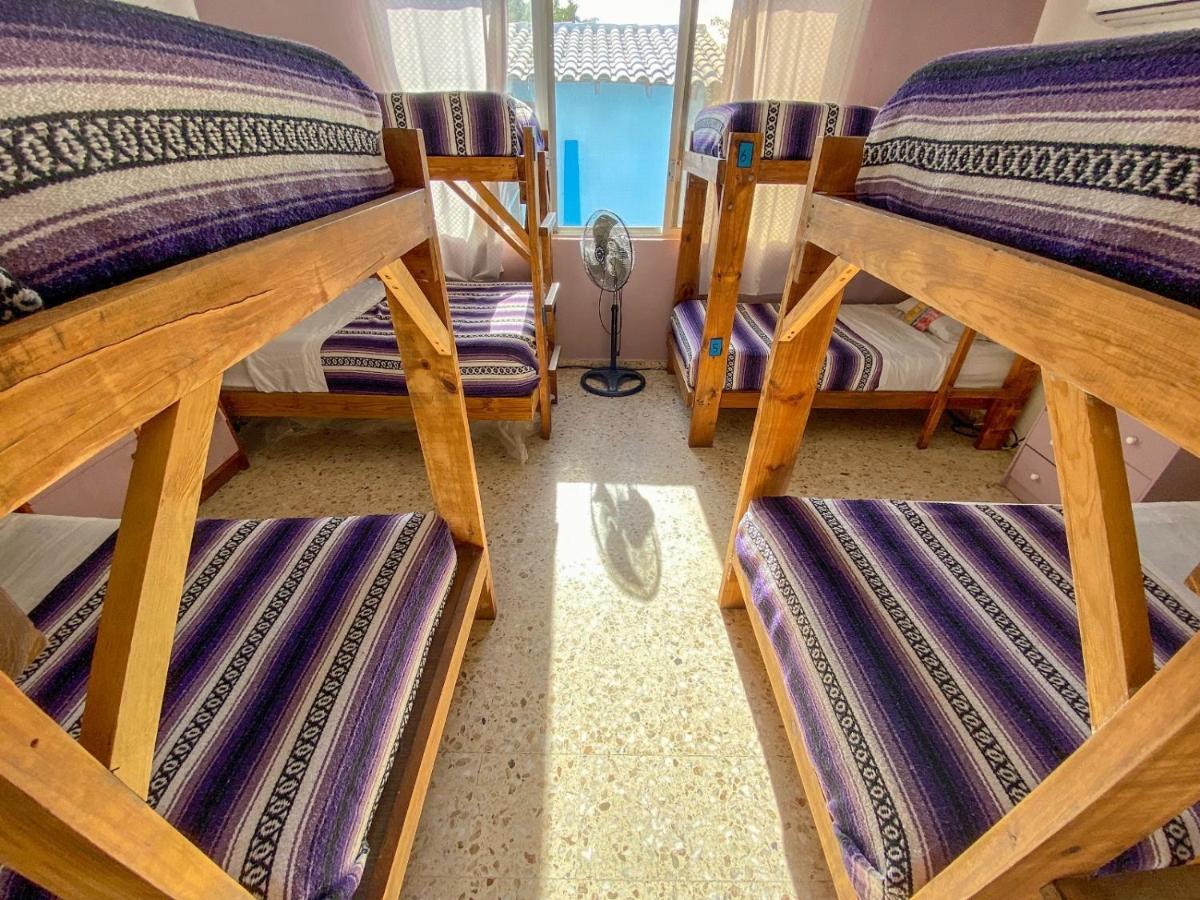 ماساتلان Wandering Monkey Guesthouse المظهر الخارجي الصورة